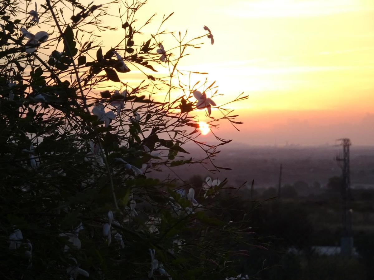 L'Albaida, Tranquility, Views Of Sea And Mountains Apartment Vilanova de Escornalbou Bagian luar foto