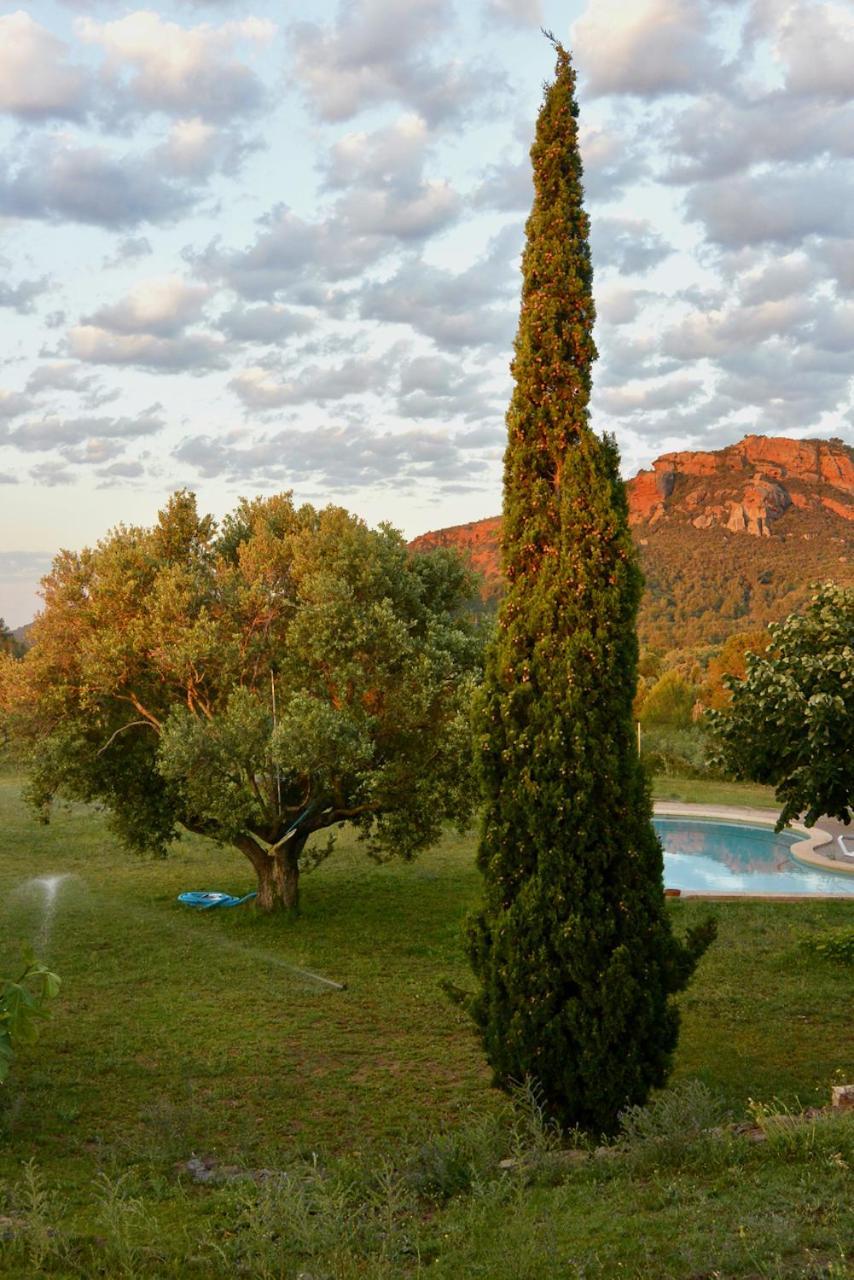 L'Albaida, Tranquility, Views Of Sea And Mountains Apartment Vilanova de Escornalbou Bagian luar foto