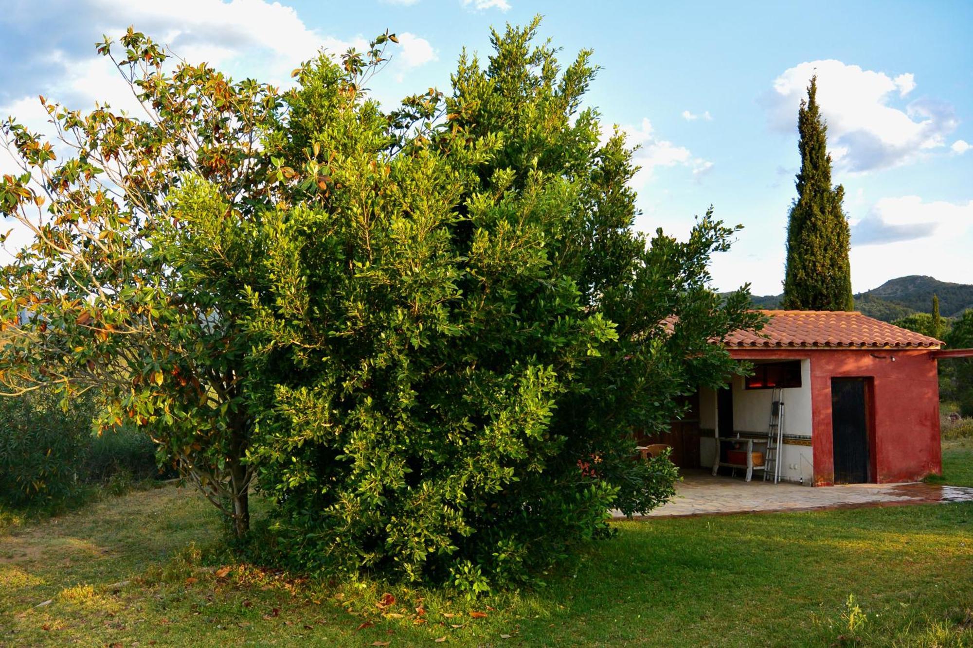 L'Albaida, Tranquility, Views Of Sea And Mountains Apartment Vilanova de Escornalbou Ruang foto
