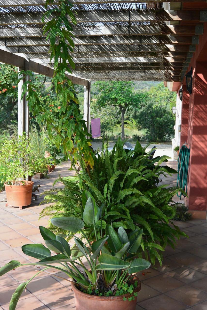 L'Albaida, Tranquility, Views Of Sea And Mountains Apartment Vilanova de Escornalbou Bagian luar foto