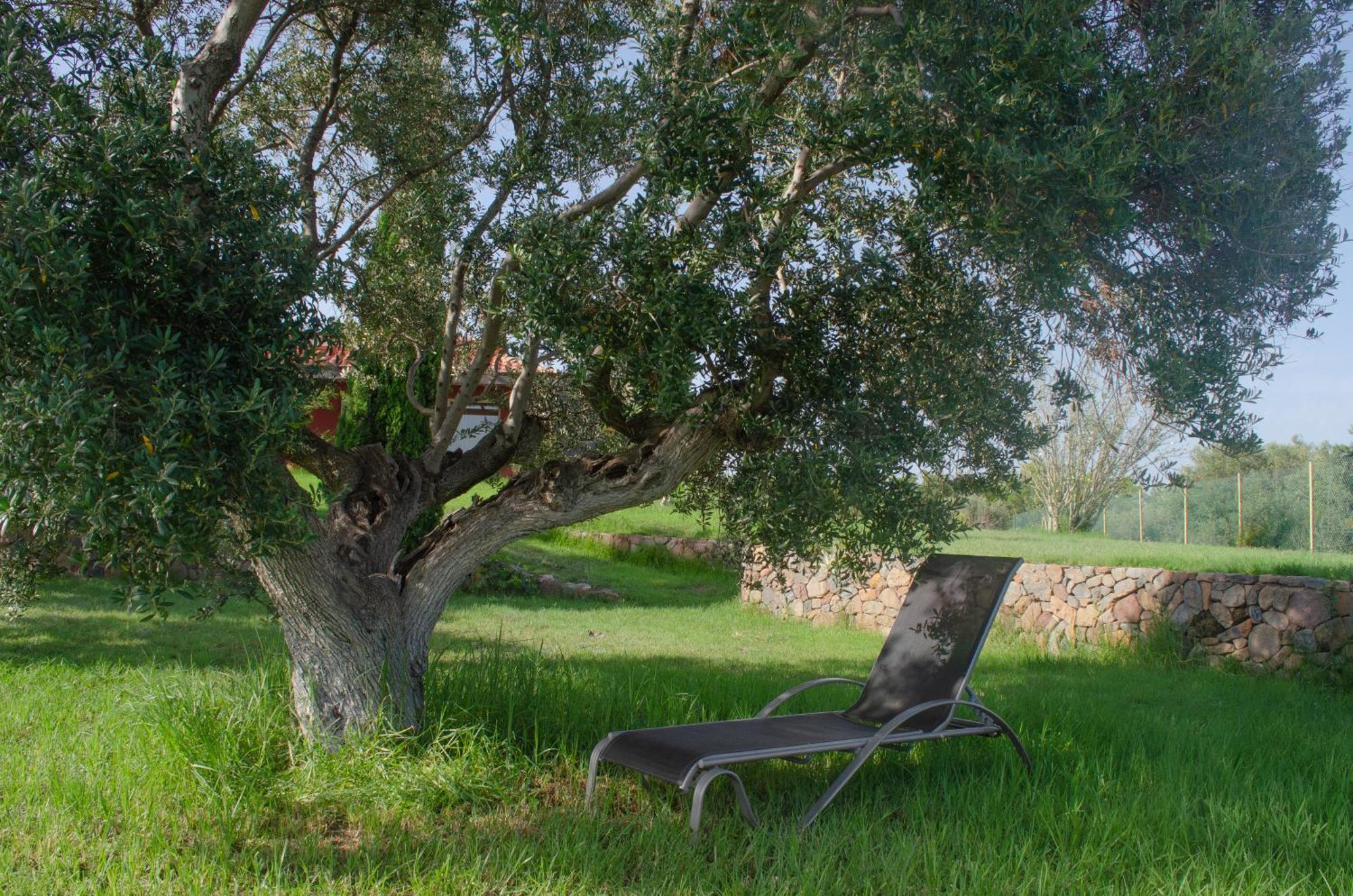 L'Albaida, Tranquility, Views Of Sea And Mountains Apartment Vilanova de Escornalbou Bagian luar foto